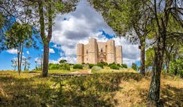 Halbtägige private Tour zum Castel del Monte von Bari