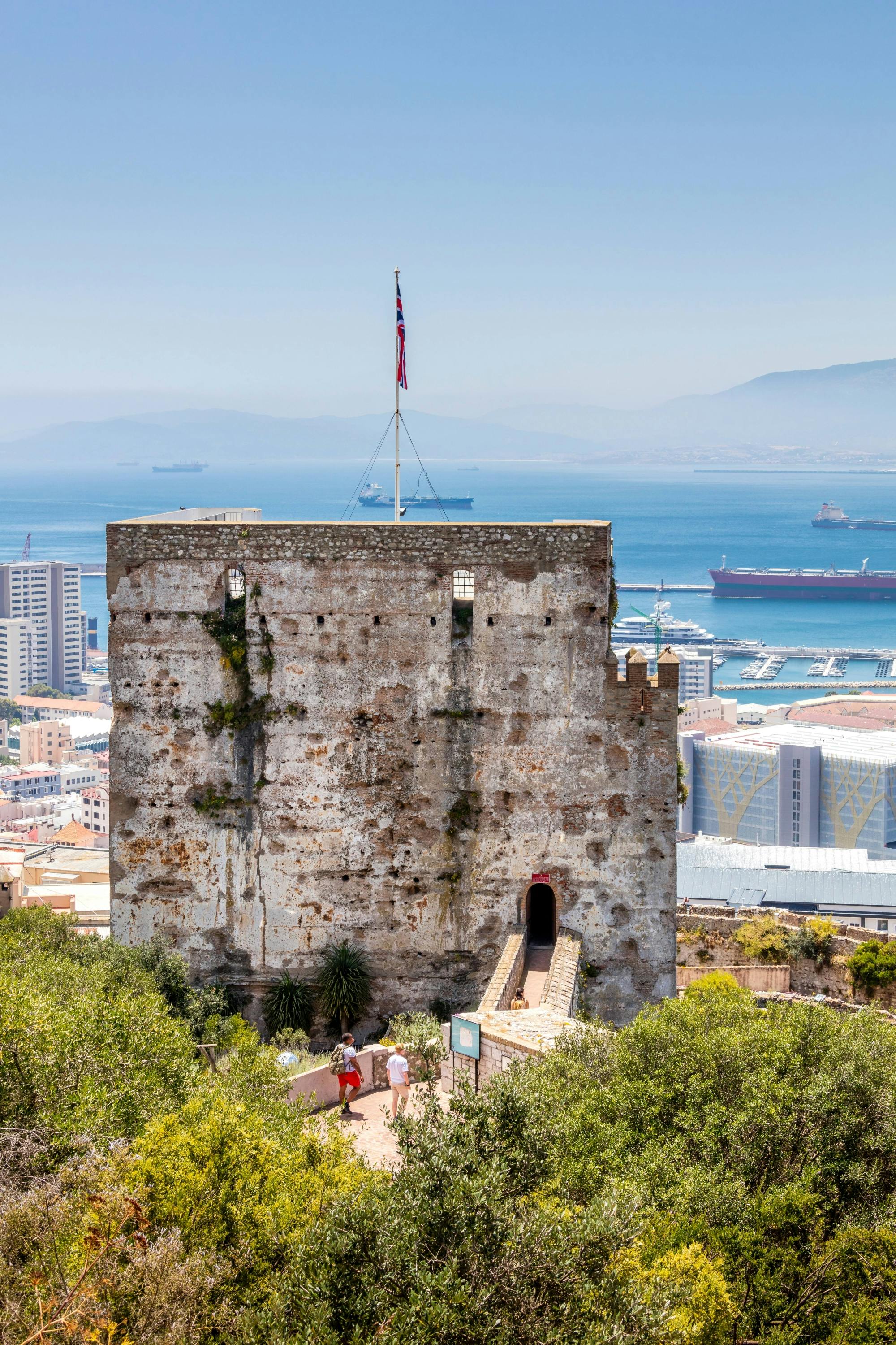 Gibraltar day trip with dolphin-watching boat tour and Rock visit