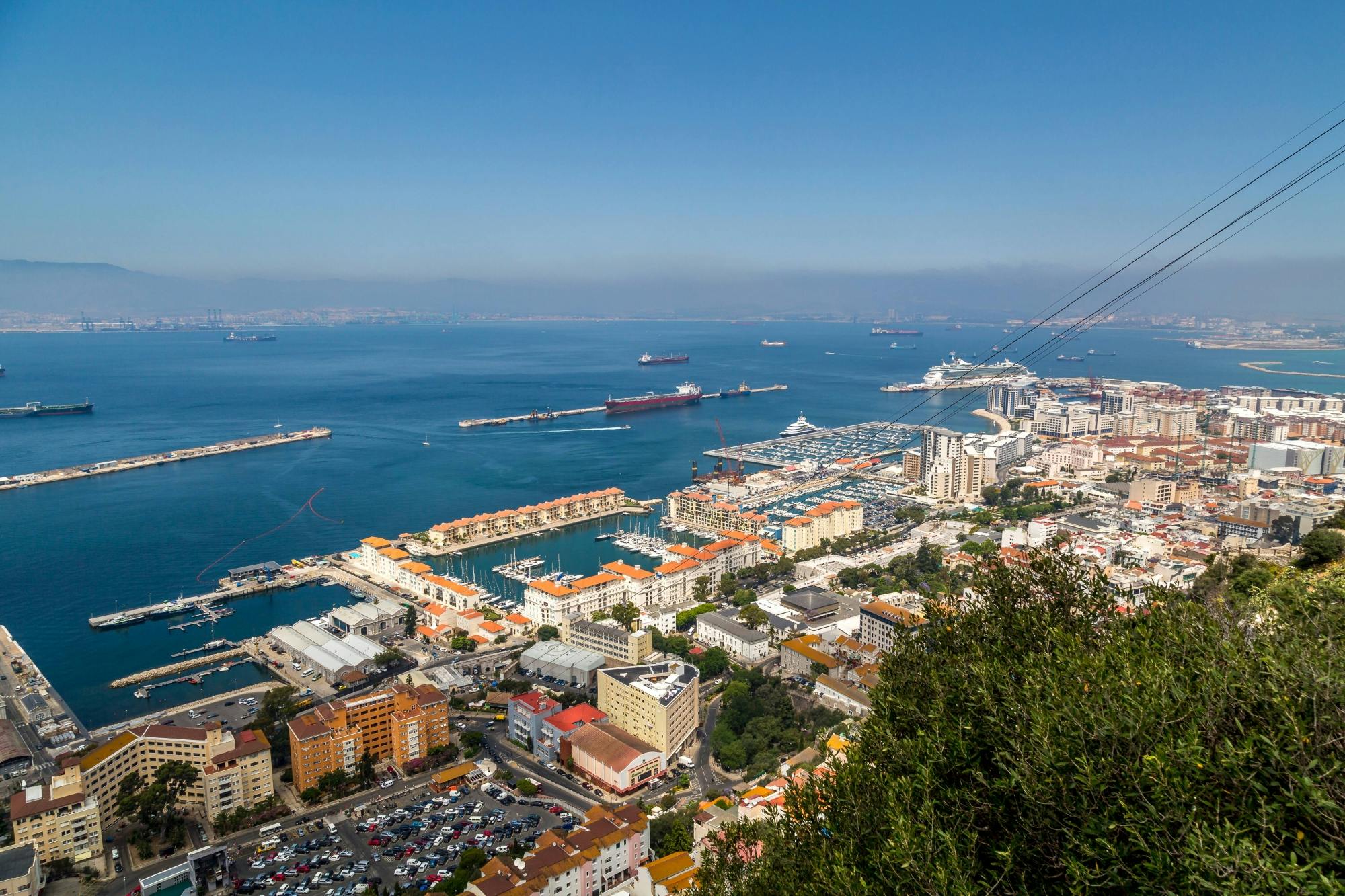 Gibraltar day trip with dolphin-watching boat tour and Rock visit