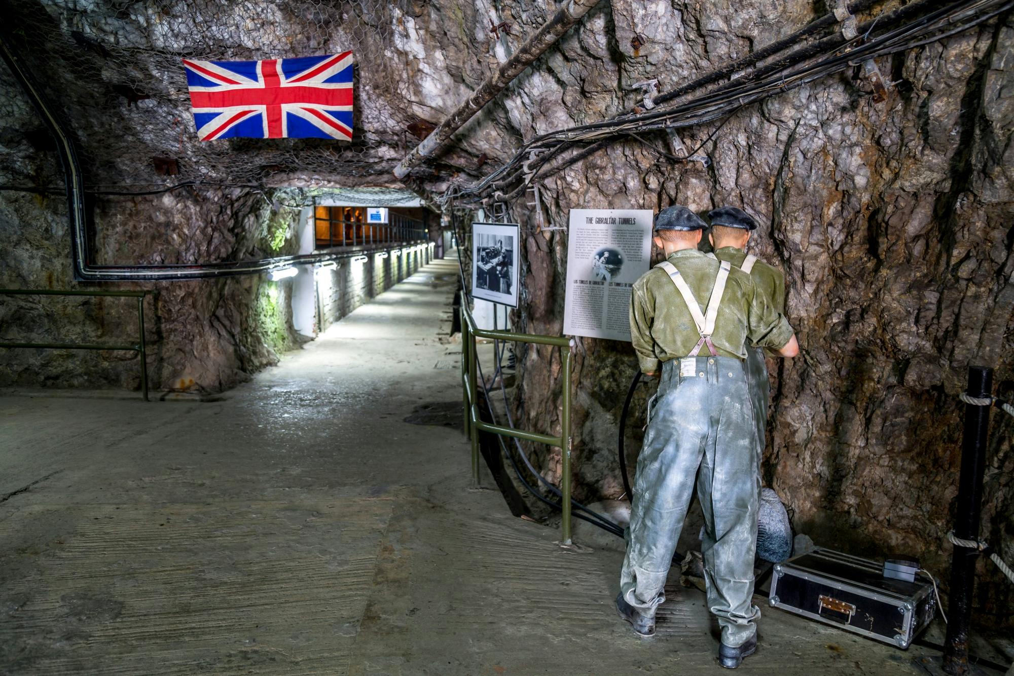 Gibraltar day trip with dolphin-watching boat tour and Rock visit