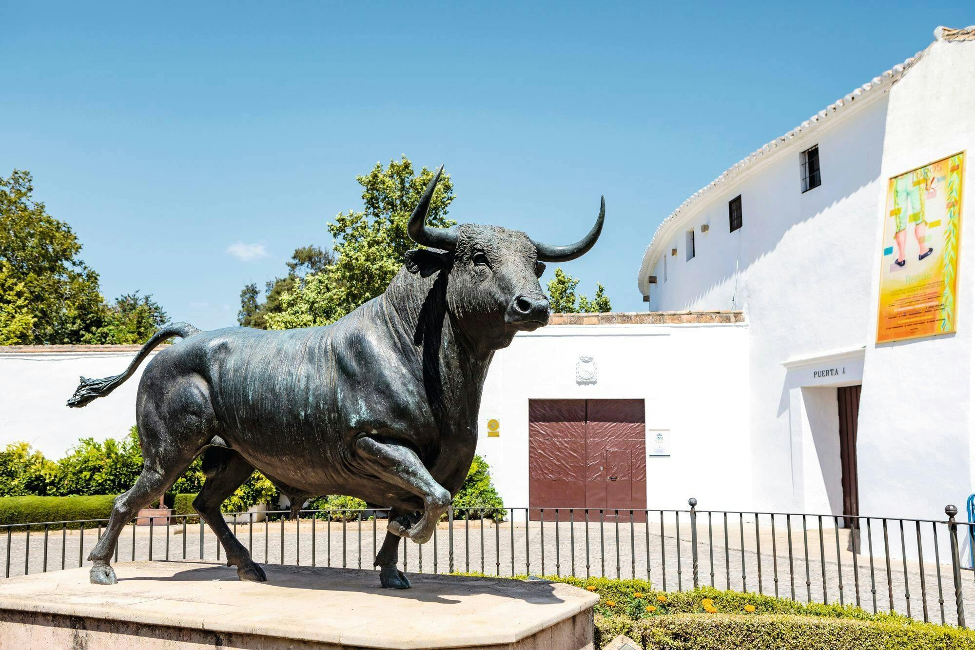 Full-day tour of Ronda with Casa Don Bosco and ranch visit