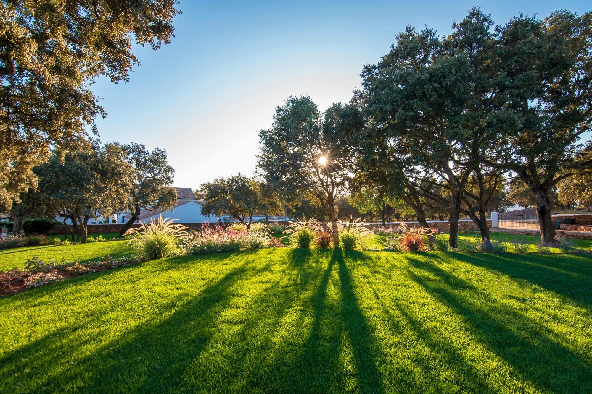 Full-day tour of Ronda with Casa Don Bosco and ranch visit