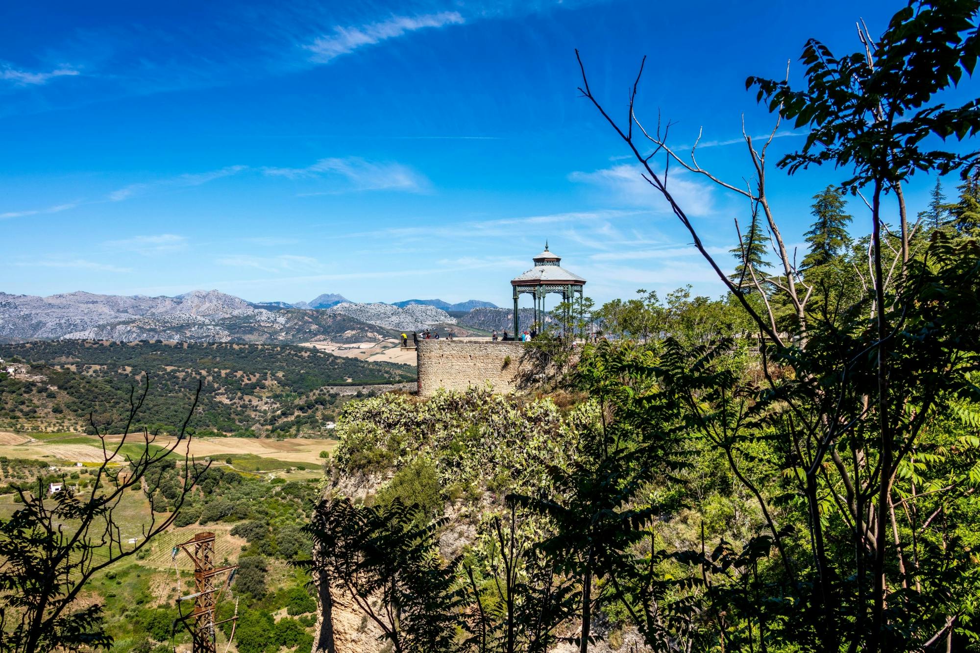 Full-day tour of Ronda with Casa Don Bosco and ranch visit