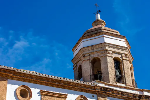 Full-day tour of Ronda with Casa Don Bosco and ranch visit