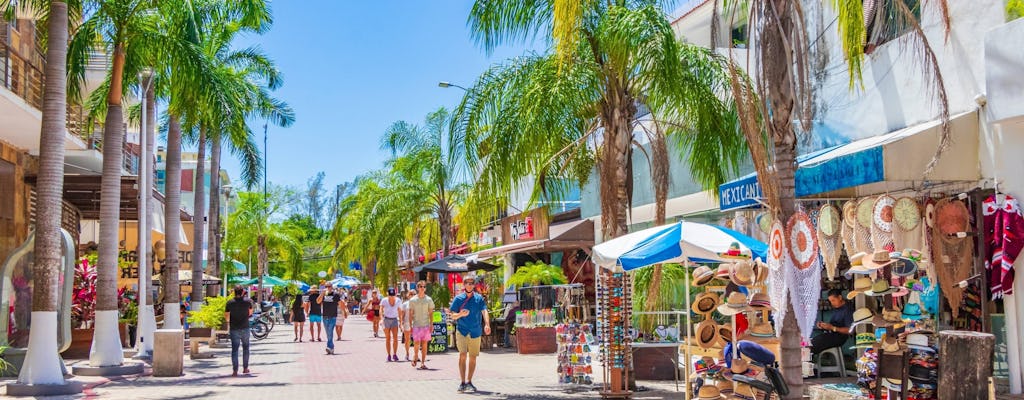 Tulum tour and Playa del Carmen visit with lunch from Cancun