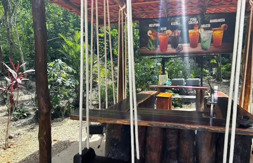 Tulum tour and Playa del Carmen visit with lunch from Cancun