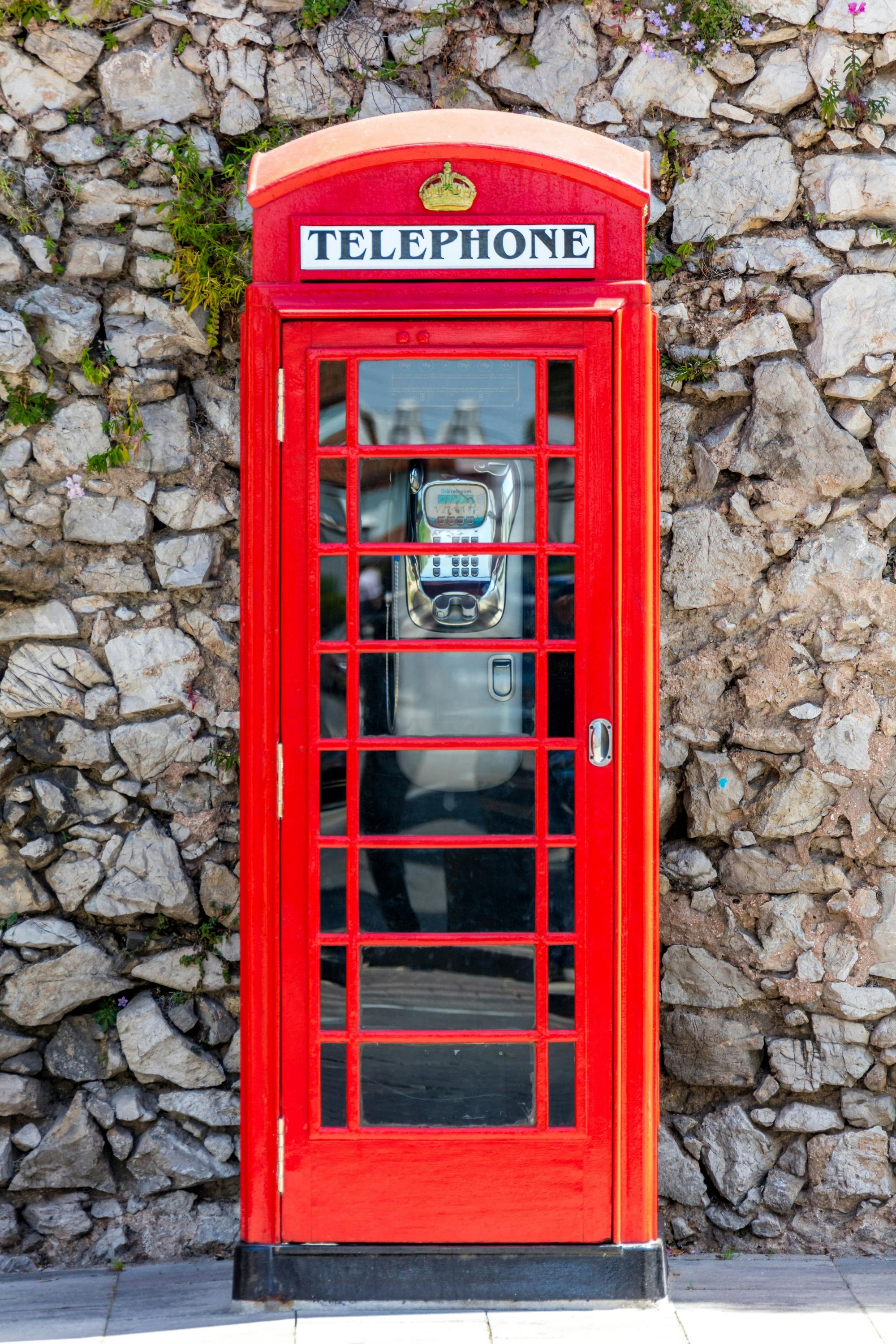 Gibraltar day trip with dolphin-watching boat tour and Rock visit