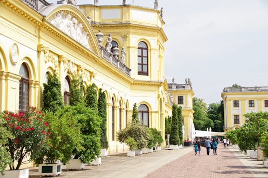 Kassel 2-hour city walking tour with a local guide