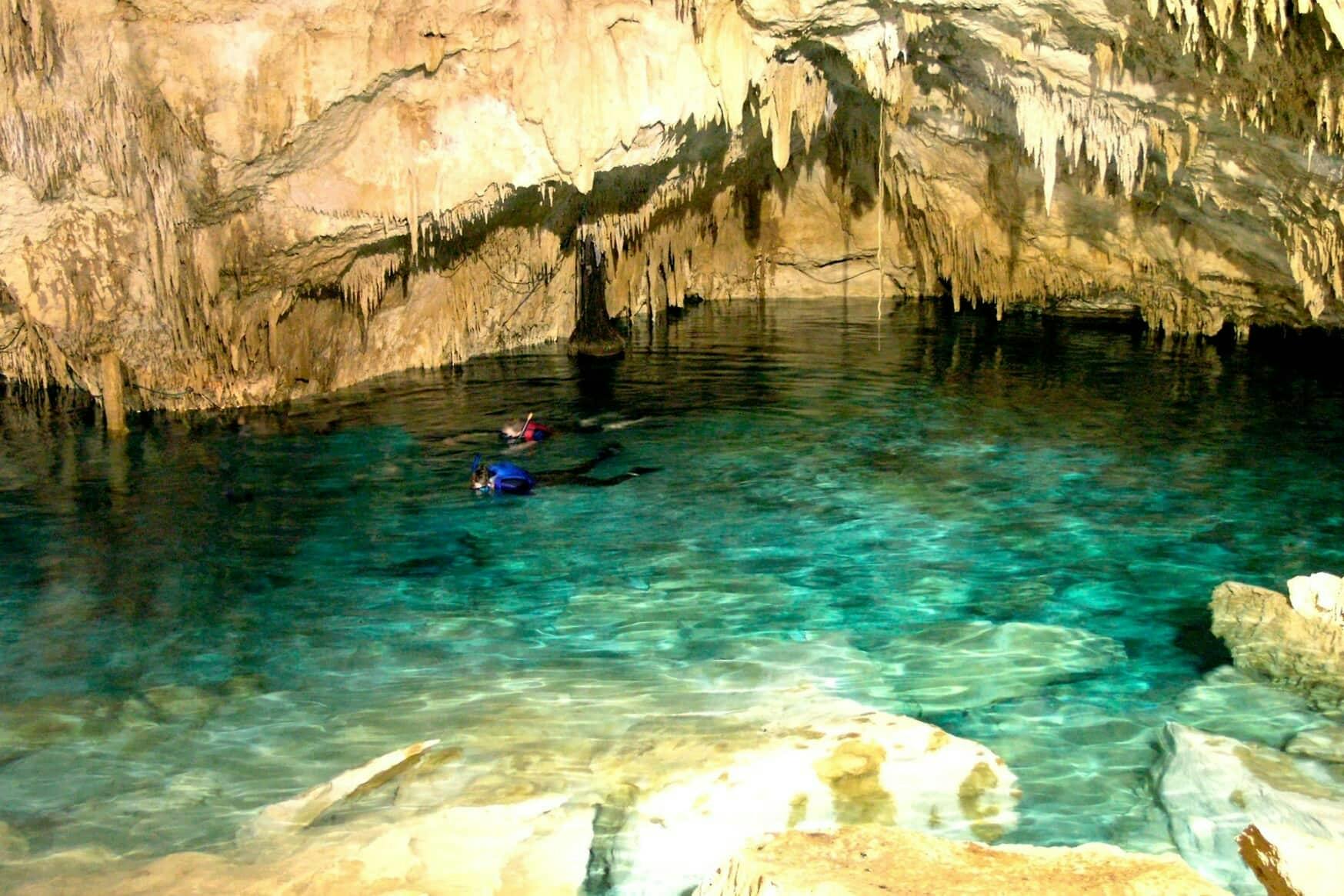 Snorkelling with Turtles and Cenote Swim in Riviera Maya