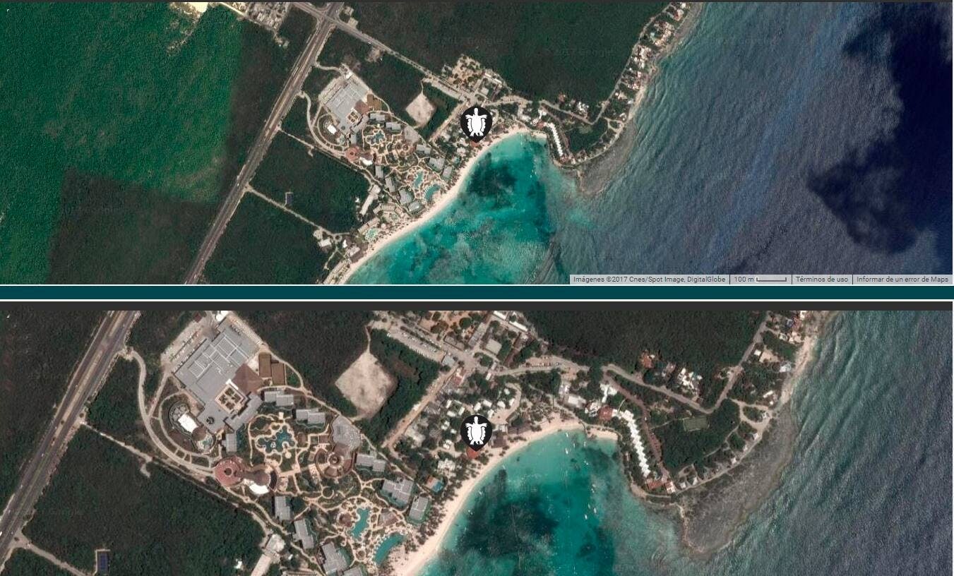 Snorkelling with Turtles and Cenote Swim in Riviera Maya