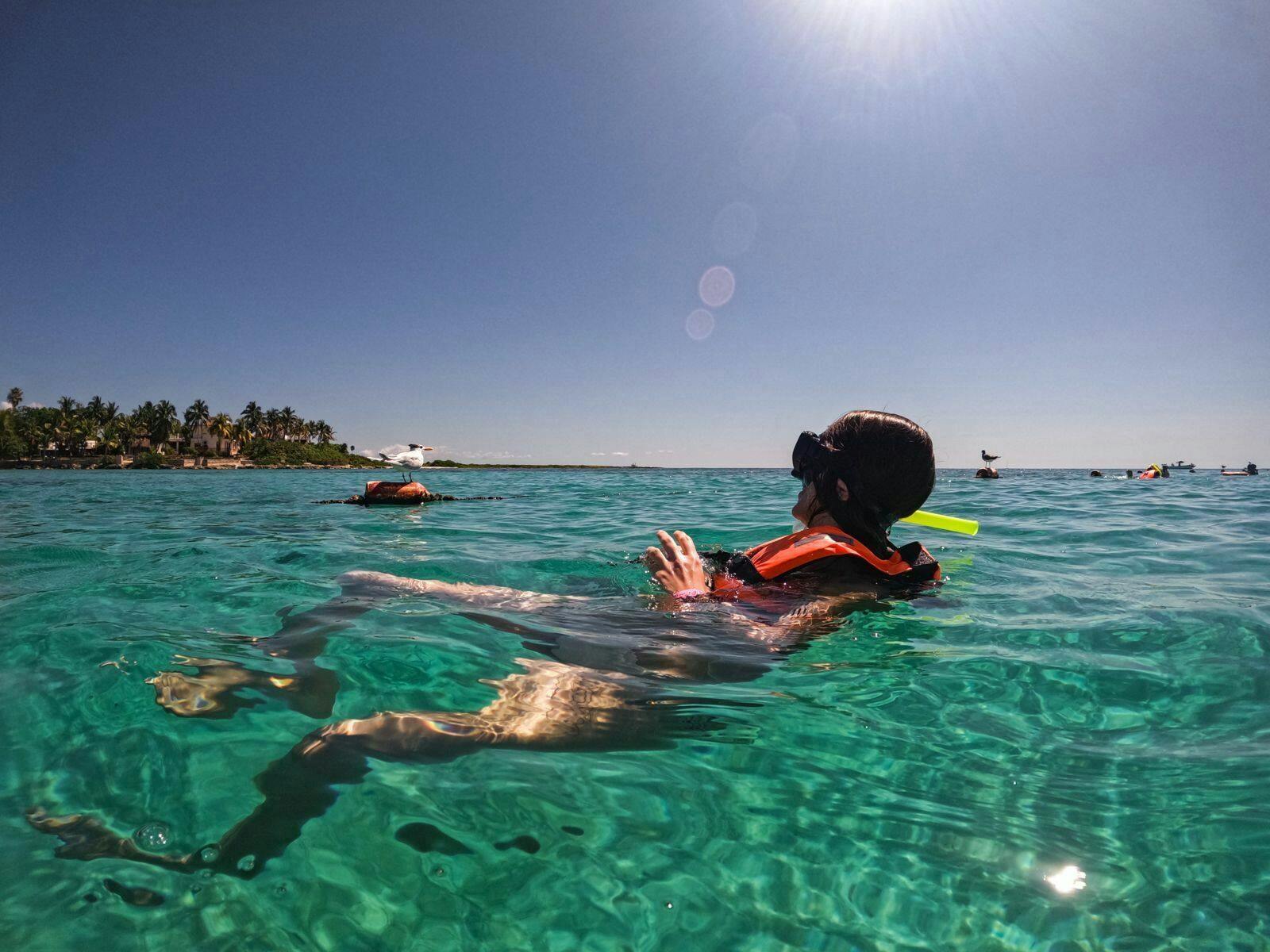 Snorkelling with Turtles and Cenote Swim in Riviera Maya