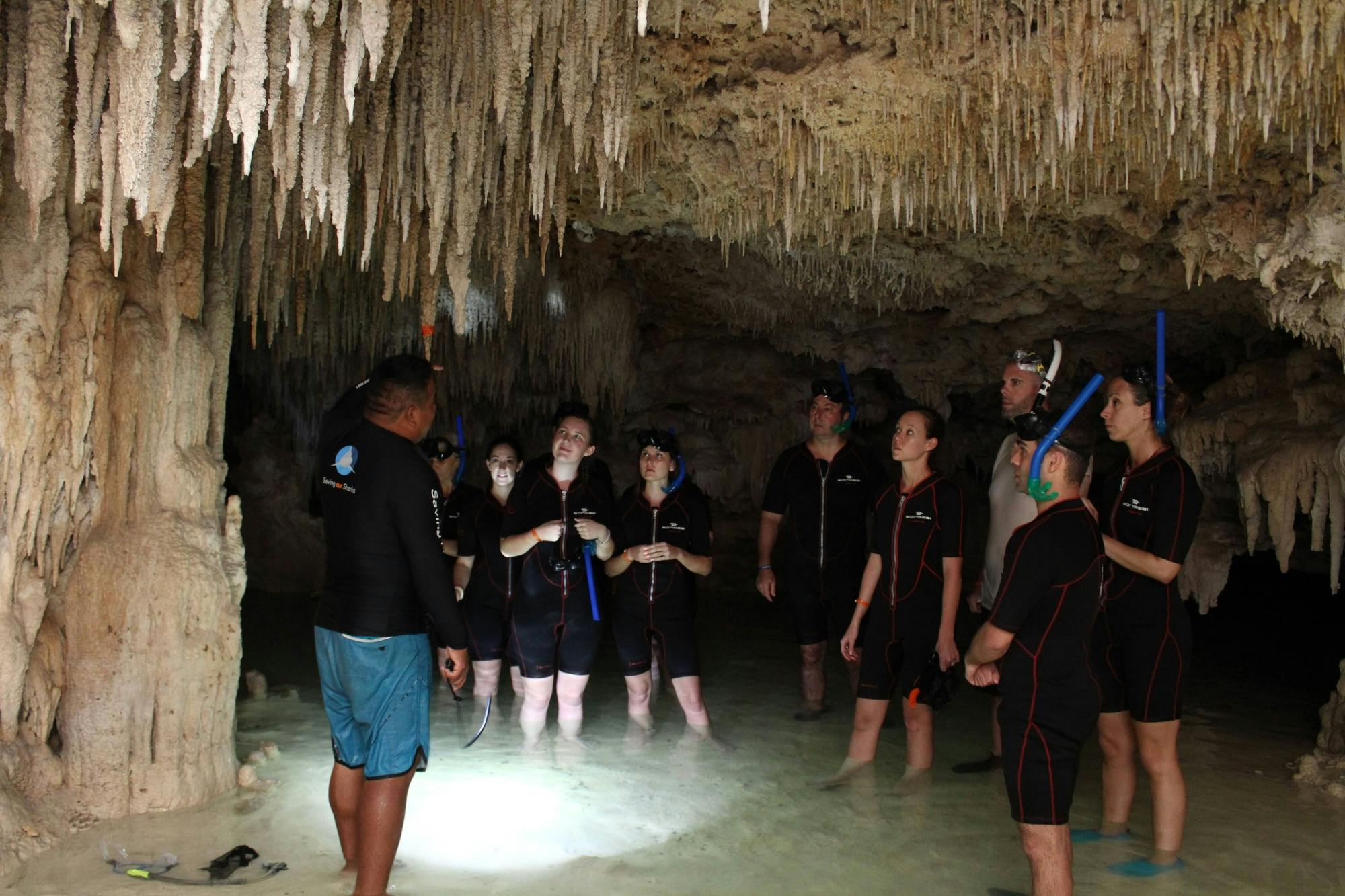 Snorkelling with Turtles and Cenote Swim in Riviera Maya