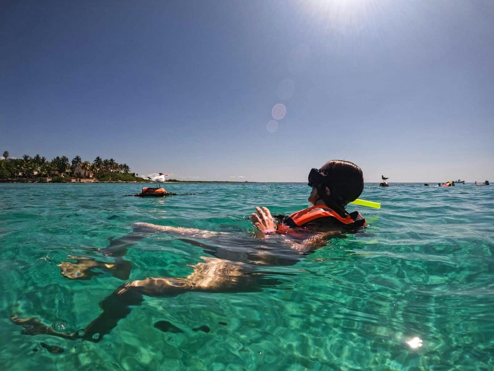 Snorkelling with Turtles and Cenote Swim in Riviera Maya