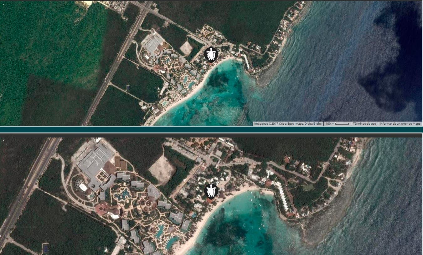 Snorkelling with Turtles and Cenote Swim in Riviera Maya