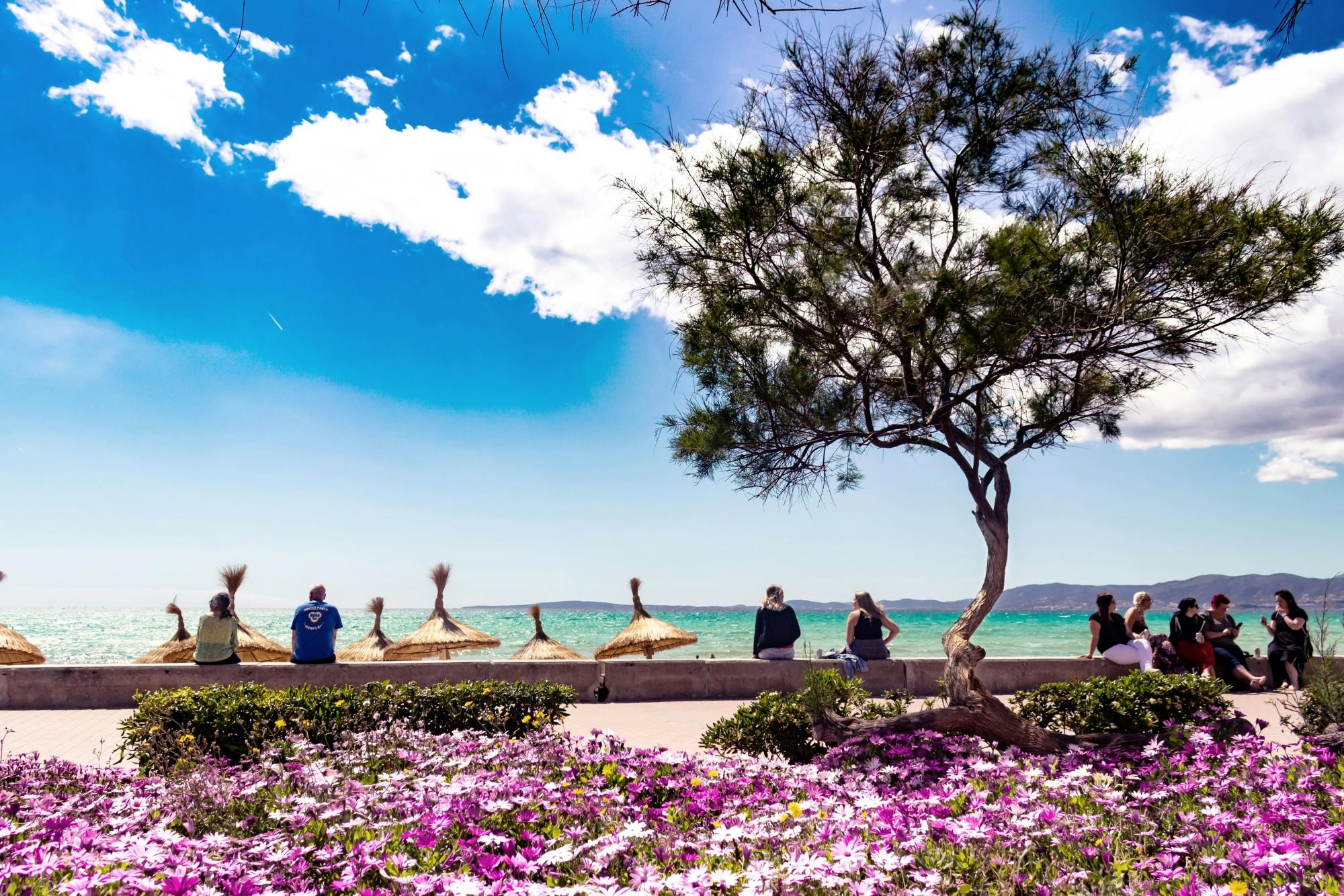 Majorcan east coast trike tour with Randa Monastery