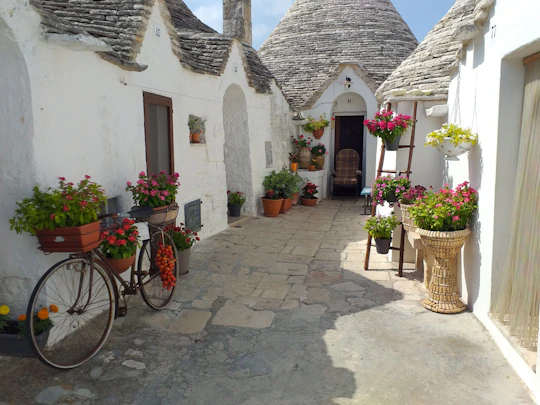 Alberobello & Ostuni Tour from Salento Adriatic Coast