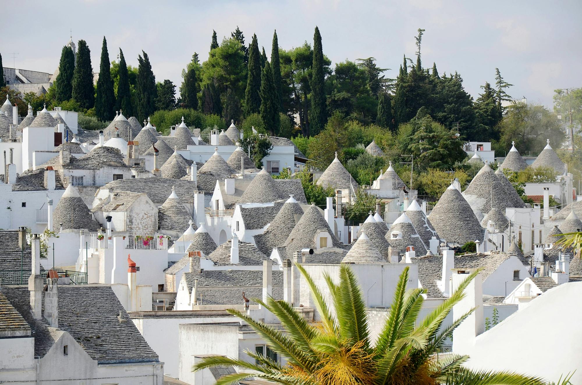 Private transfer to Alberobello from Salento Ionian Coast
