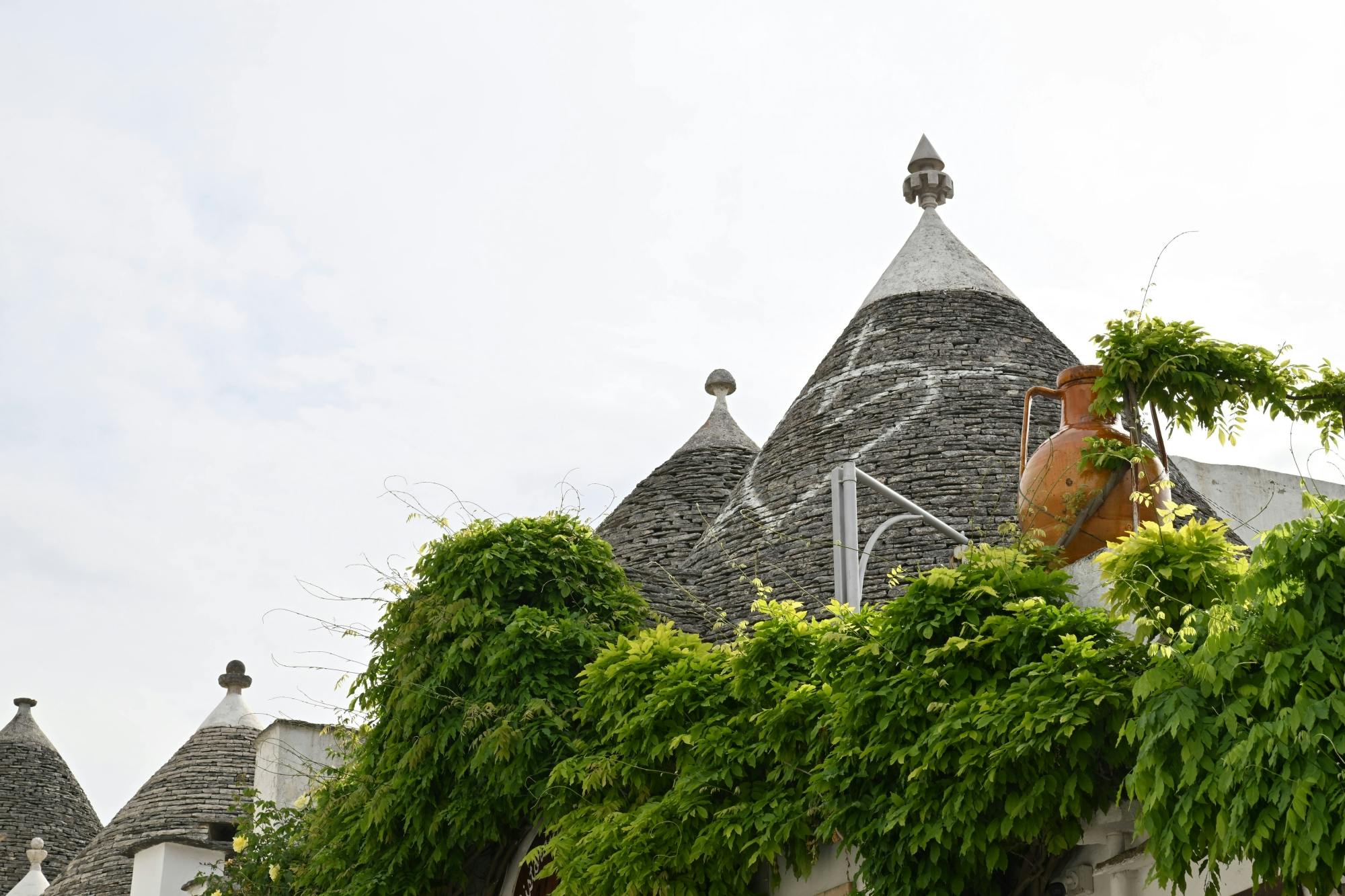 Private transfer to Alberobello from Salento Ionian Coast