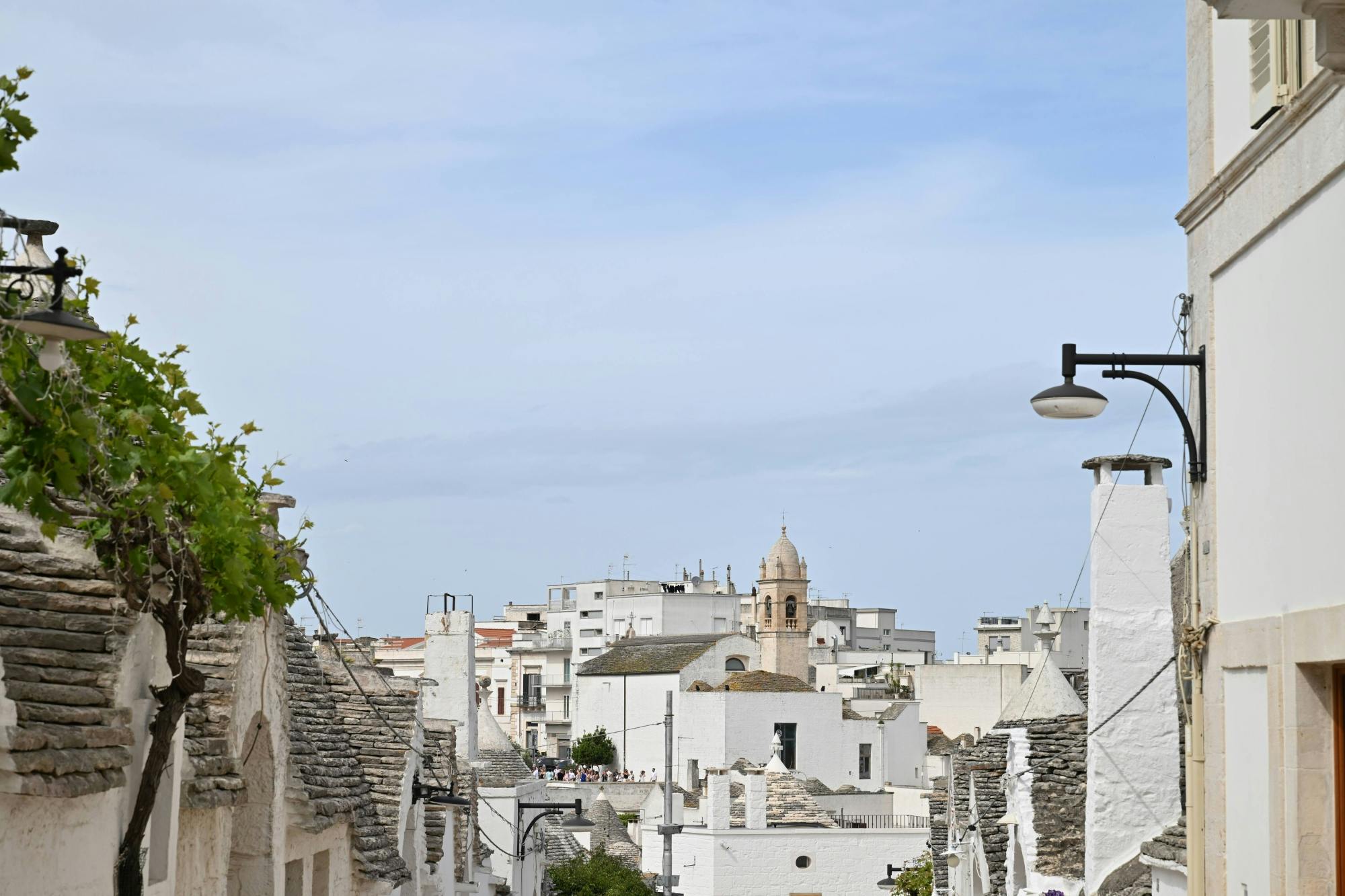 Private Transfer to Alberobello