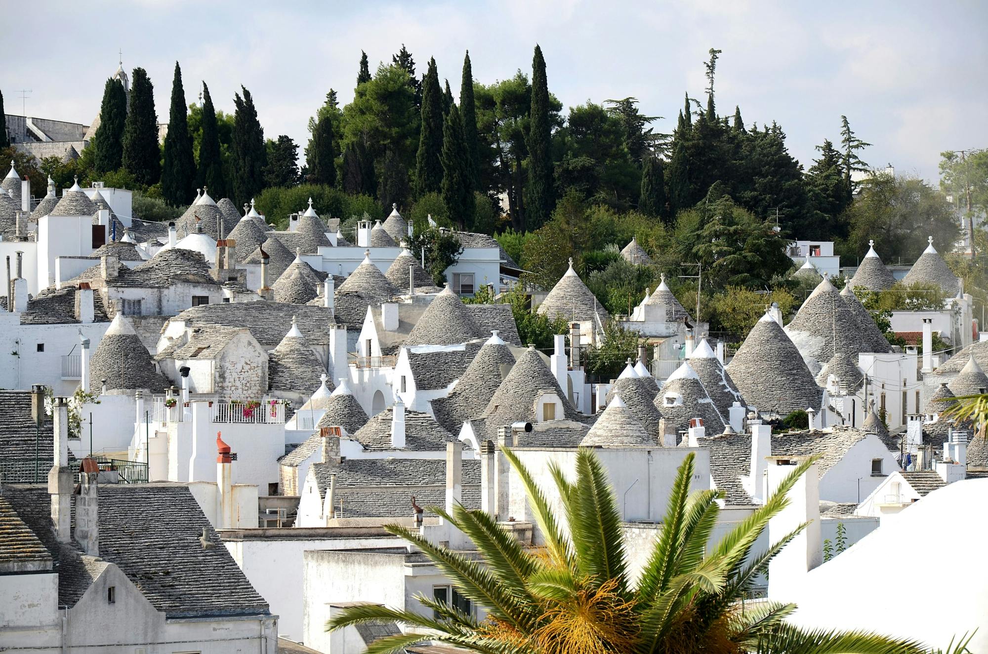 Private transfer to Alberobello from Salento Ionian Coast