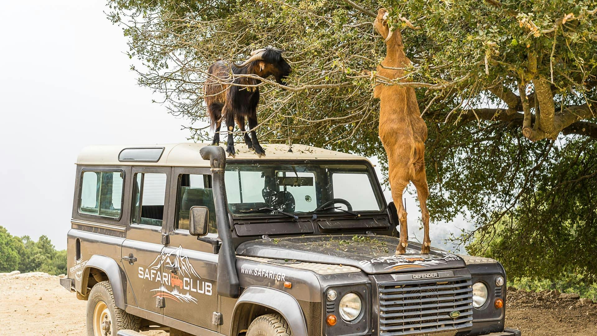 Private off-road tour to experience Crete