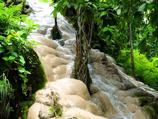 Half-day private tour with driver to Bua Thong Waterfall