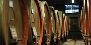 Chianti Rufina-Tour mit Weinprobe und Mittagessen in der Villa Travignoli