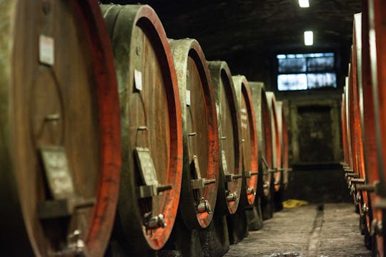 Passeio por Chianti Rufina com degustação de vinhos e almoço na Villa Travignoli