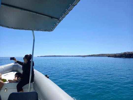 3-hour speedboat trip along Menorca's northern coastline from Addaia