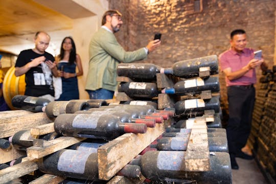 Visite et dégustation de vins anciens avec déjeuner toscan