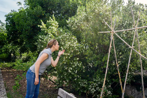Nat Geo Day Tour: The Valley of the Oranges