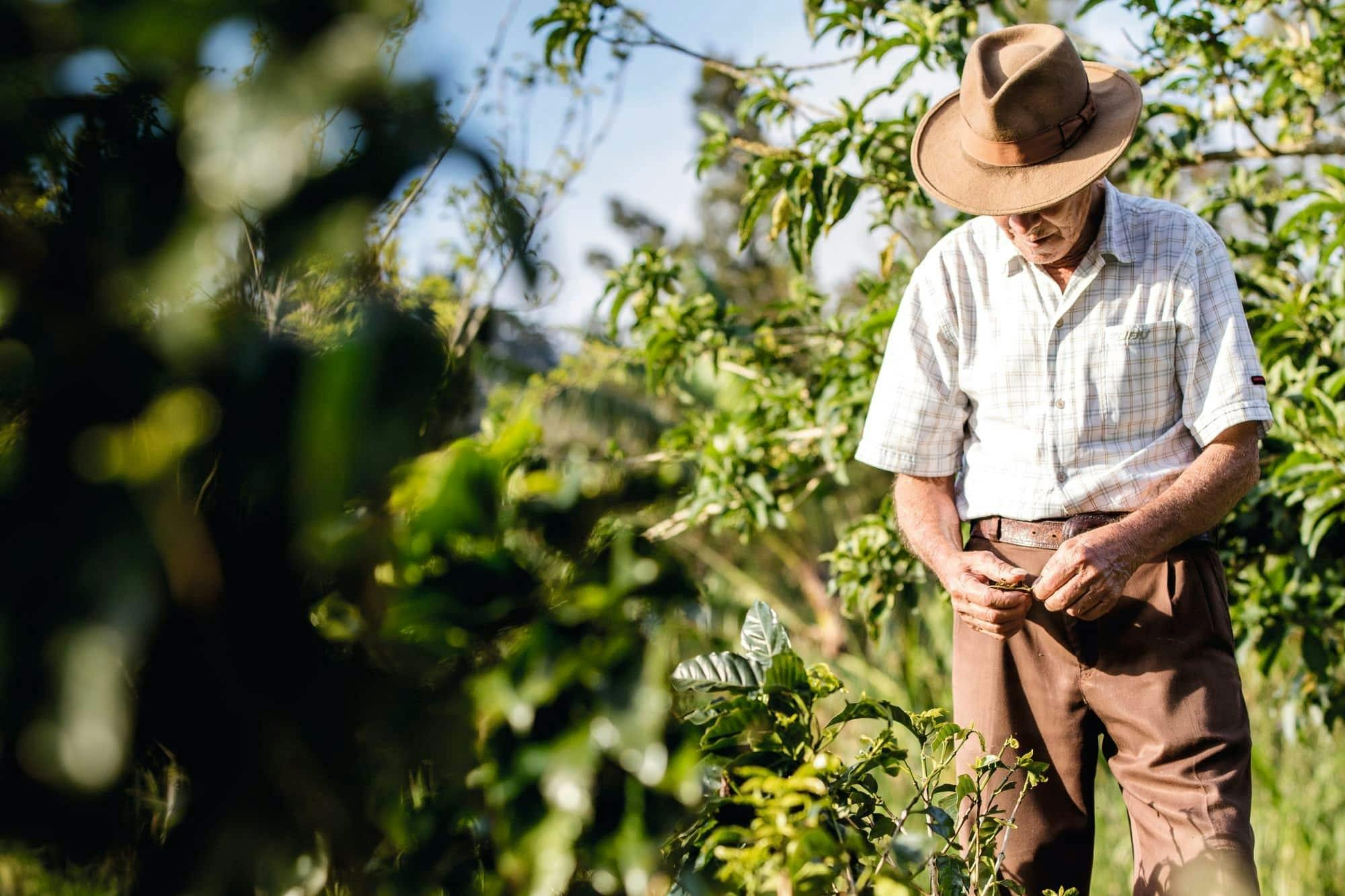 Cretan semi - submarine and guided tour from South Crete