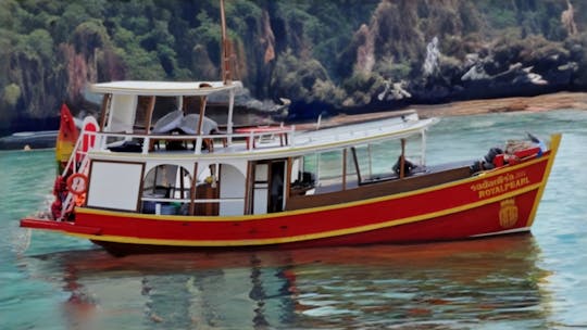 Snorkeling Day Trip to Ko Tao and Koh Nangyuan with Meals