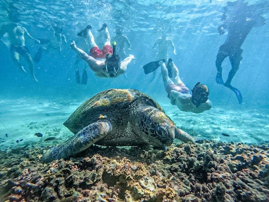 Koh Nangyuan and Hidden Bays Snorkeling Tour with Lunch from Kho Tao