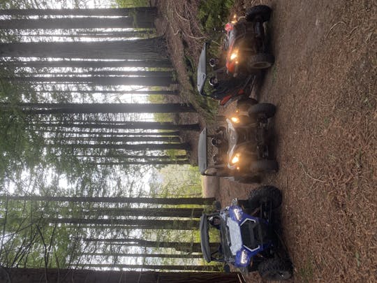 Prive-buggy off-road rijervaring op Madeira