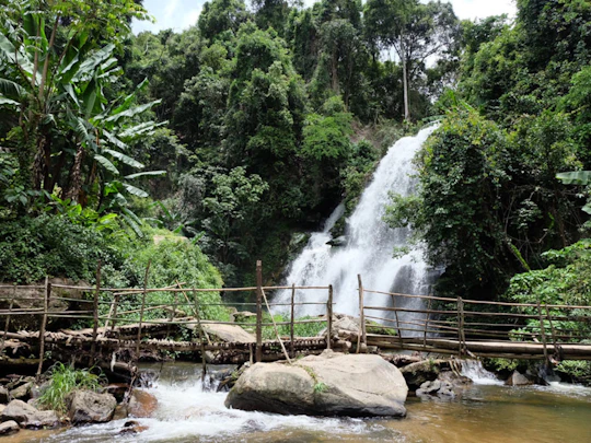 Doi Inthanon Trek tour in Chiang Mai