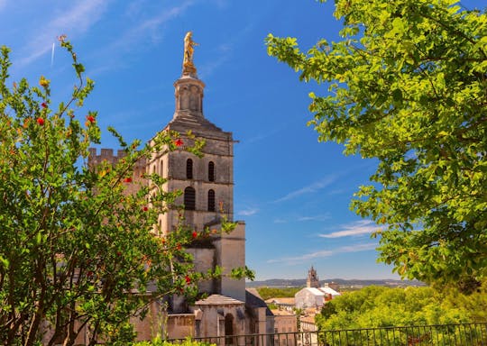Avignon 2-hour introductory walking tour with a local