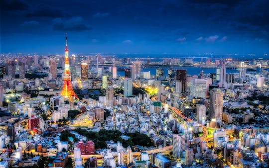 Tokyo full-day private walking tour with local guide