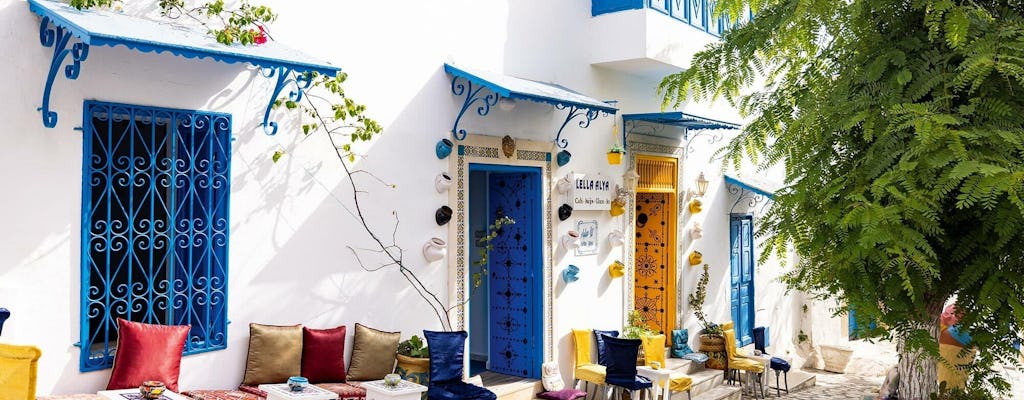 Visite de la Carthage antique et de Sidi Bou Saïd avec repas