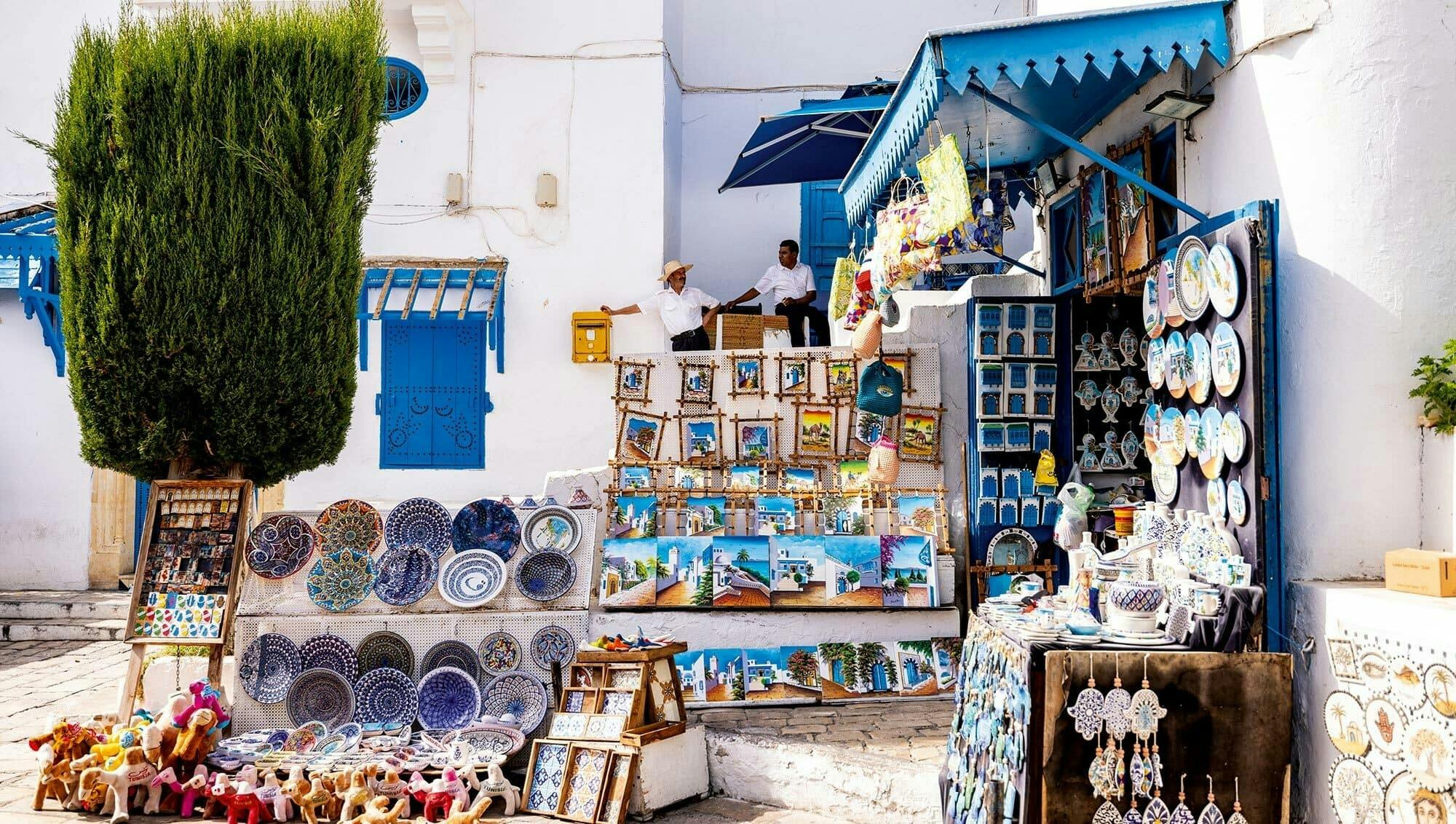 Ancient Carthage and Sidi Bou Said tour with lunch