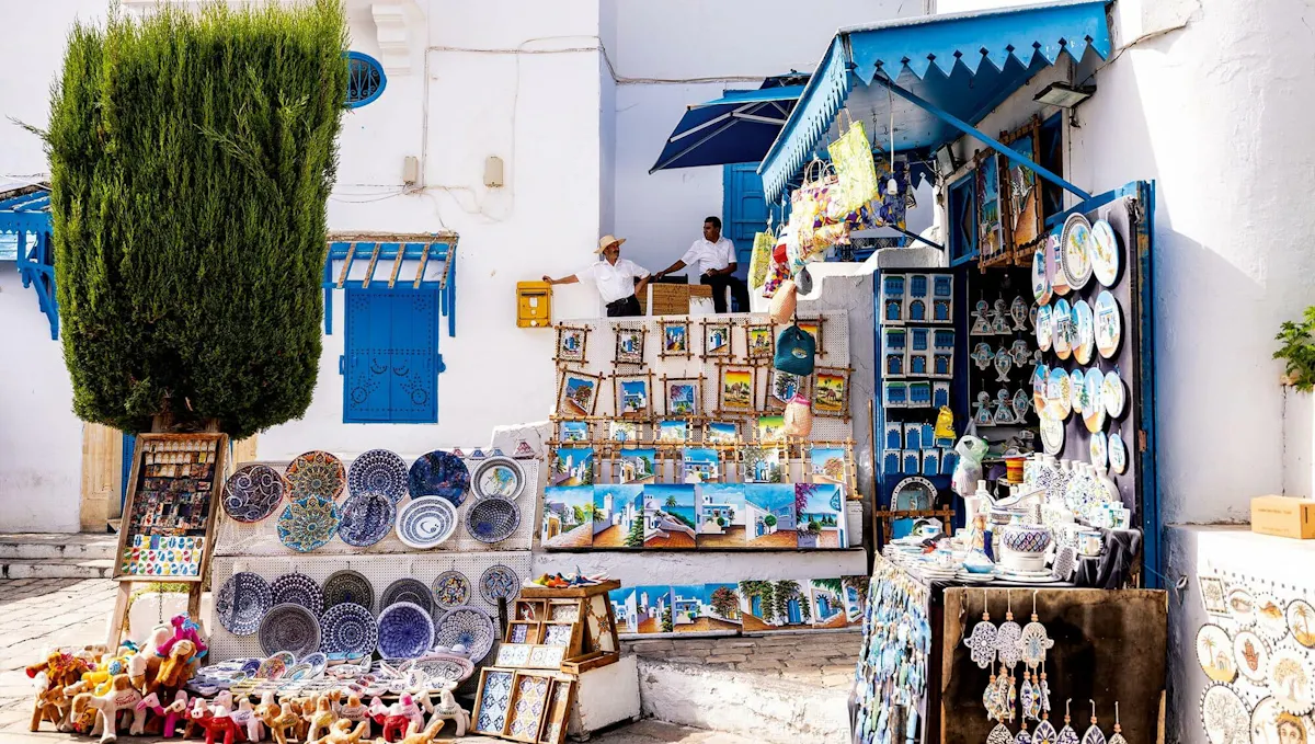 Ancient Carthage and Sidi Bou Said tour with lunch