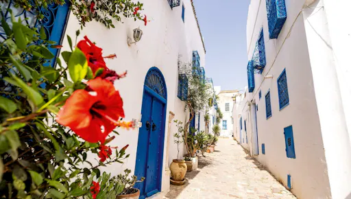 Ancient Carthage and Sidi Bou Said tour with lunch