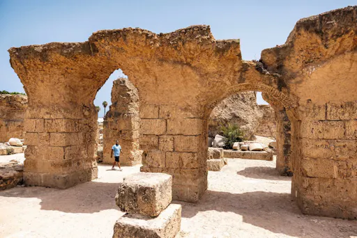 Ancient Carthage and Sidi Bou Said tour with lunch