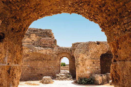 Ancient Carthage and Sidi Bou Said tour with lunch
