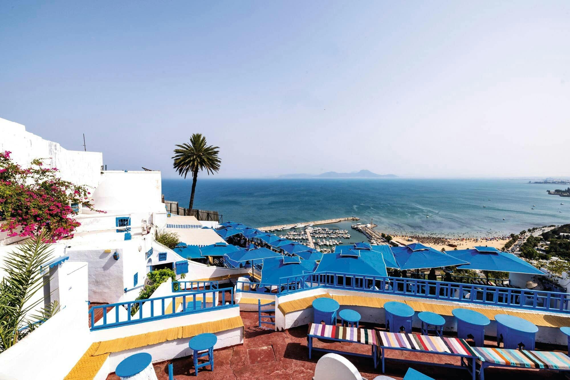 Ancient Carthage and Sidi Bou Said tour with lunch