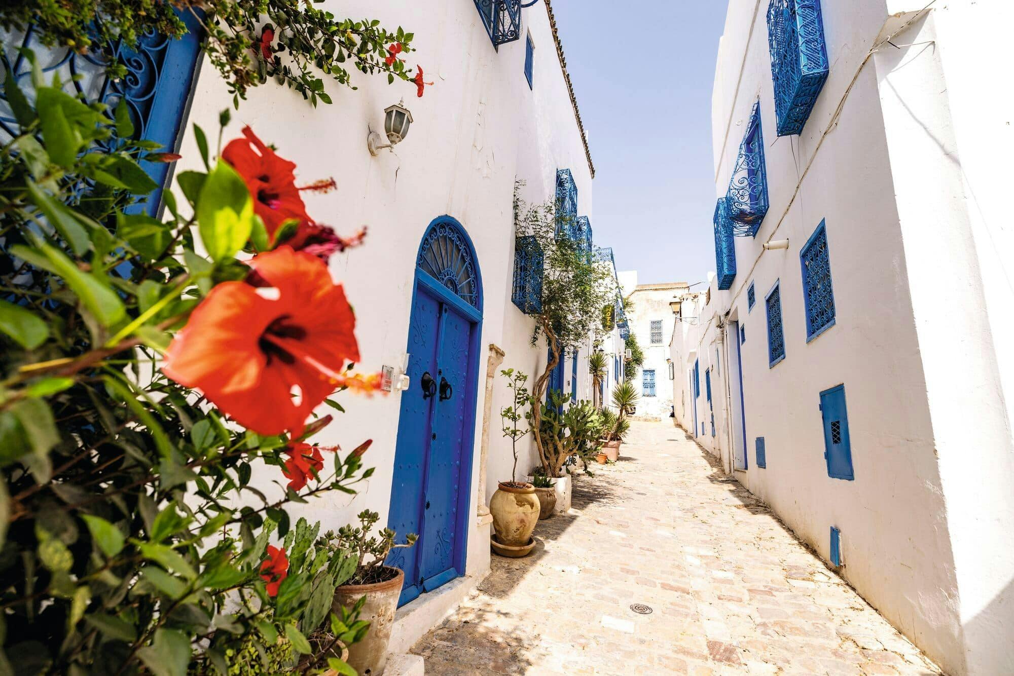Ancient Carthage and Sidi Bou Said tour with lunch