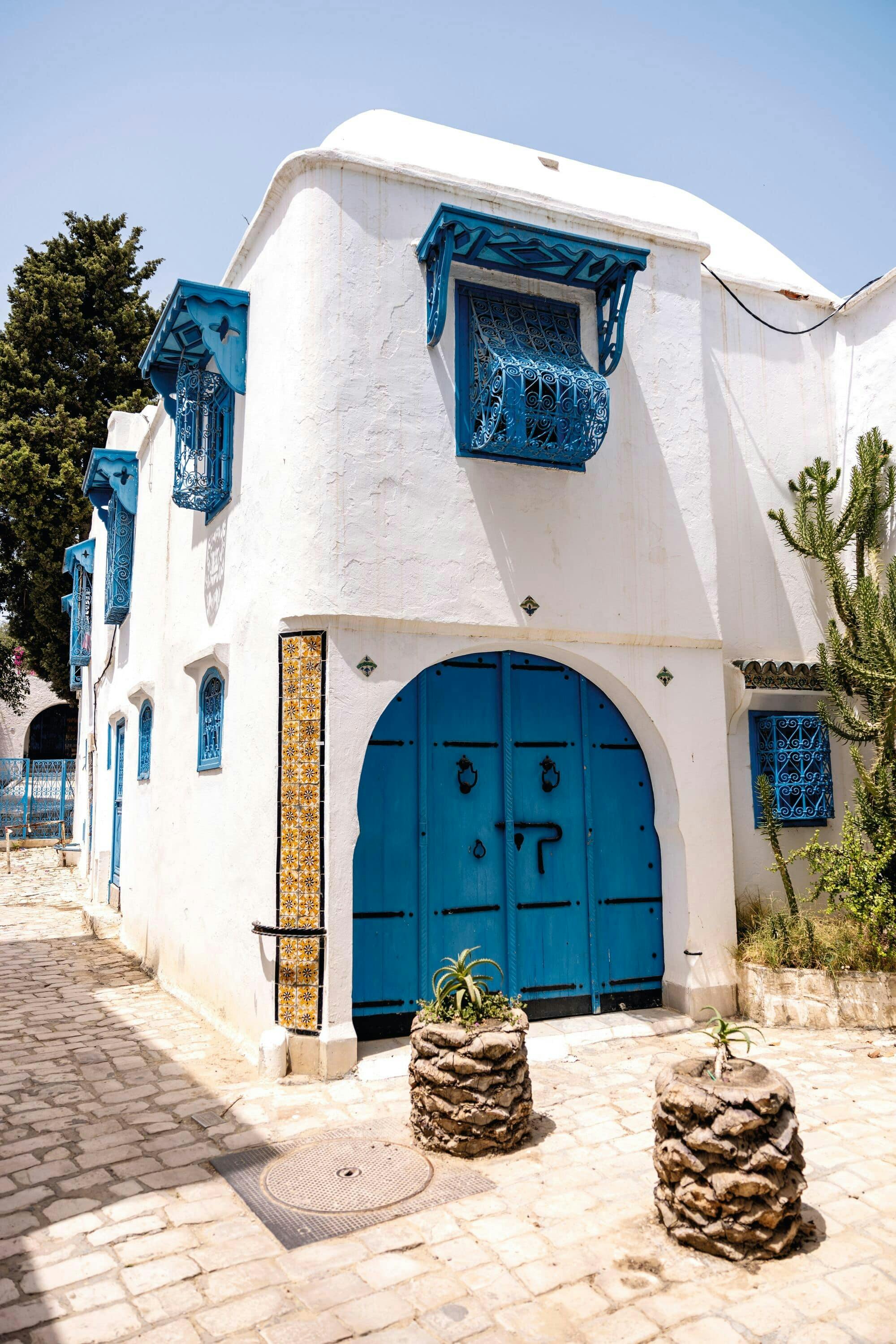 Ancient Carthage and Sidi Bou Said tour with lunch