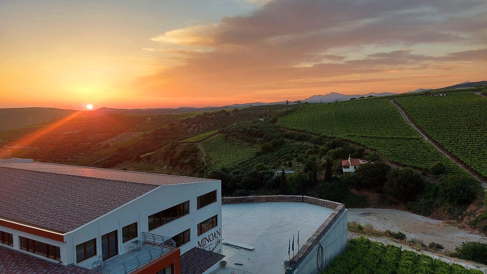 Crete food and wine tasting with wine factory visit