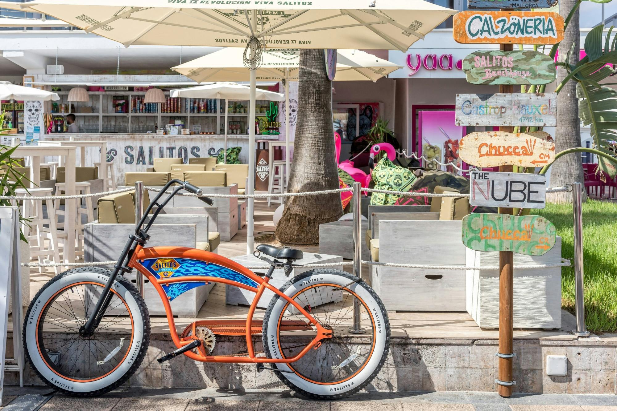 Majorcan El Calderers Estate and Hams Caves tour