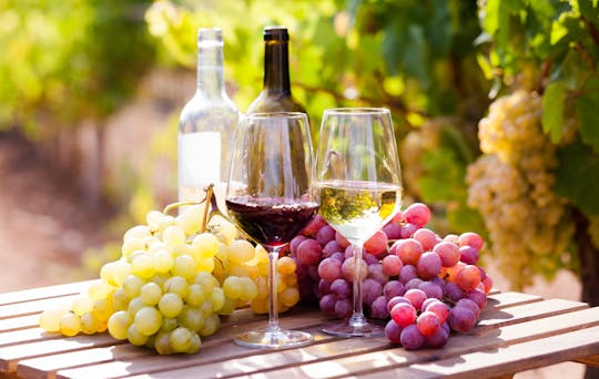Dégustation classique de l'essence de Mértola en trois verres